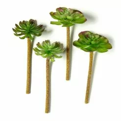 Budget ⌛ 12 Pack: Assorted Red Tipped Succulent Pick by Ashland® ???? -Ashland Sales MP229986 21