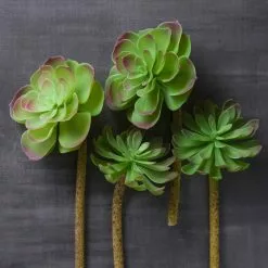 Budget ⌛ 12 Pack: Assorted Red Tipped Succulent Pick by Ashland® ???? -Ashland Sales MP229986 22