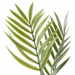 Top 10 ???? 12 Pack: Green Palm Spray by Ashland® ???? -Ashland Sales MP230859 20