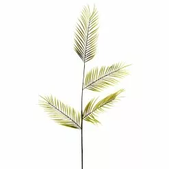 Best deal ???? 12 Pack: Green Tropical Areca Palm Stem by Ashland® ????