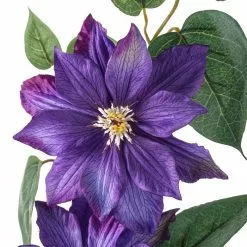 Cheapest ???? 12 Pack: Purple Clematis Stem by Ashland® ✨ -Ashland Sales MP230902 20
