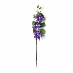 Cheapest ???? 12 Pack: Purple Clematis Stem by Ashland® ✨ -Ashland Sales MP230902 21