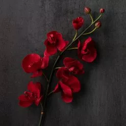 Best Pirce ✨ 6 Pack: Red Orchid Stem by Ashland® ???? -Ashland Sales MP230911 22