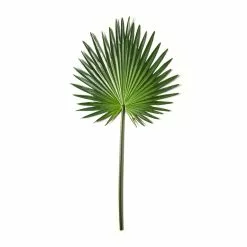 Flash Sale ✔️ 6 Pack: Green Fan Palm Stem by Ashland® ✔️ -Ashland Sales MP230923 21