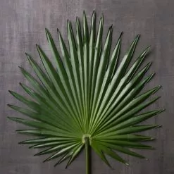 Flash Sale ✔️ 6 Pack: Green Fan Palm Stem by Ashland® ✔️ -Ashland Sales MP230923 22