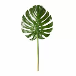 Budget ???? 6 Pack: Green Monstera Leaf Stem by Ashland® ???? -Ashland Sales MP230926 21