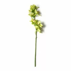 Cheapest ???? 8 Pack: Pale Green Boat Orchid Stem by Ashland® ???? -Ashland Sales MP230928 21