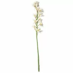 Deals ???? 8 Pack: Cream Boat Orchid Stem by Ashland® ???? 9 Deals ???? 8 Pack: Cream Boat Orchid Stem by Ashland® ???? -Ashland Sales MP230929 21
