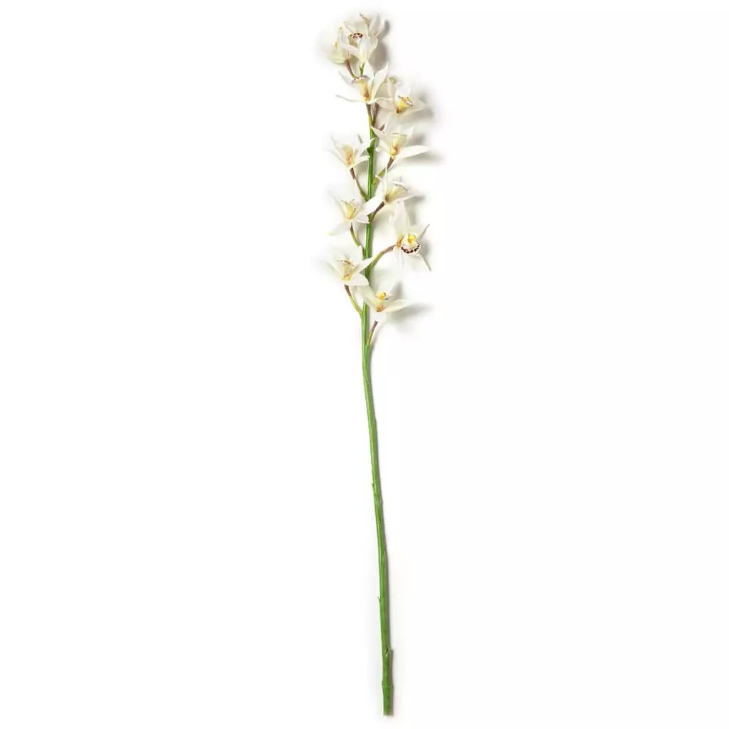 Deals ???? 8 Pack: Cream Boat Orchid Stem by Ashland® ???? 6 Deals ???? 8 Pack: Cream Boat Orchid Stem by Ashland® ???? - Image 4