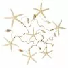 Best reviews of ⭐ 6 Pack: Starfish & Shells Garland by Ashland® ❤️ -Ashland Sales MP233099 31