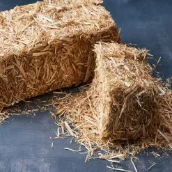 Deals ???? 12 Pack: 13" Decorative Straw Bale by Ashland® ⌛ 12 Deals ???? 12 Pack: 13" Decorative Straw Bale by Ashland® ⌛ -Ashland Sales MP234532 20