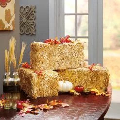 Deals ???? 12 Pack: 13" Decorative Straw Bale by Ashland® ⌛ 10 Deals ???? 12 Pack: 13" Decorative Straw Bale by Ashland® ⌛ -Ashland Sales MP234532 4