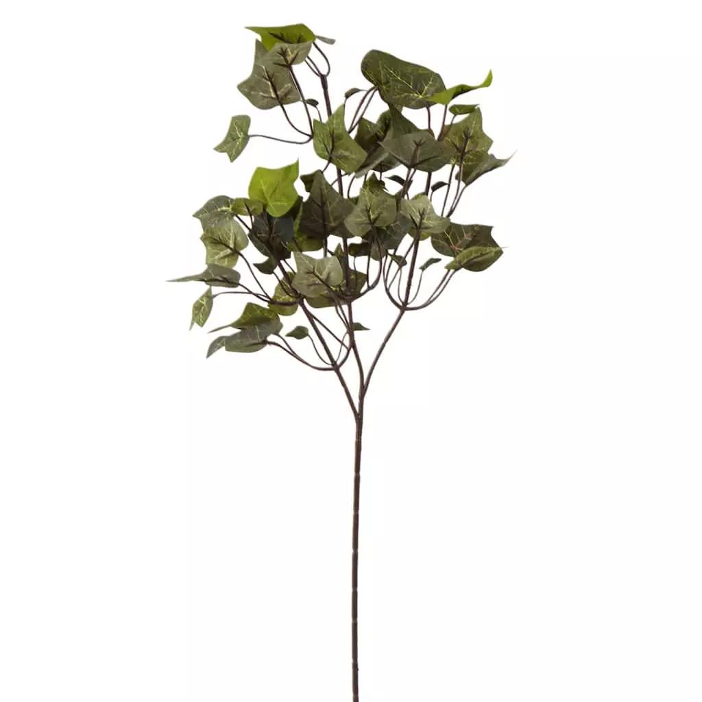 Cheap ???? 24 Pack: Floral Essentials English Ivy Spray by Ashland® ⭐ 3 Cheap ???? 24 Pack: Floral Essentials English Ivy Spray by Ashland® ⭐