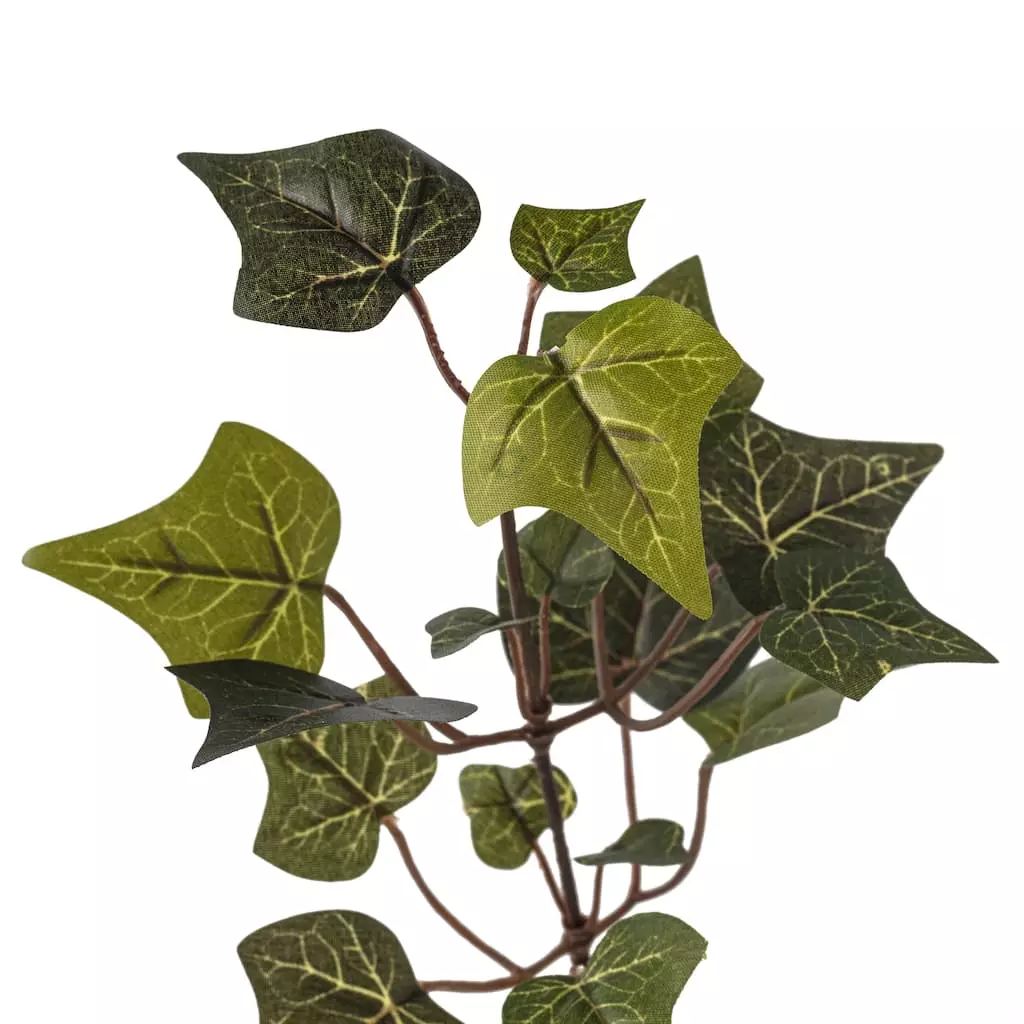 Cheap ???? 24 Pack: Floral Essentials English Ivy Spray by Ashland® ⭐ 5 Cheap ???? 24 Pack: Floral Essentials English Ivy Spray by Ashland® ⭐ - Image 3