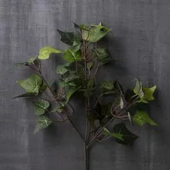 Cheap ???? 24 Pack: Floral Essentials English Ivy Spray by Ashland® ⭐ 7 Cheap ???? 24 Pack: Floral Essentials English Ivy Spray by Ashland® ⭐ -Ashland Sales MP239706 22