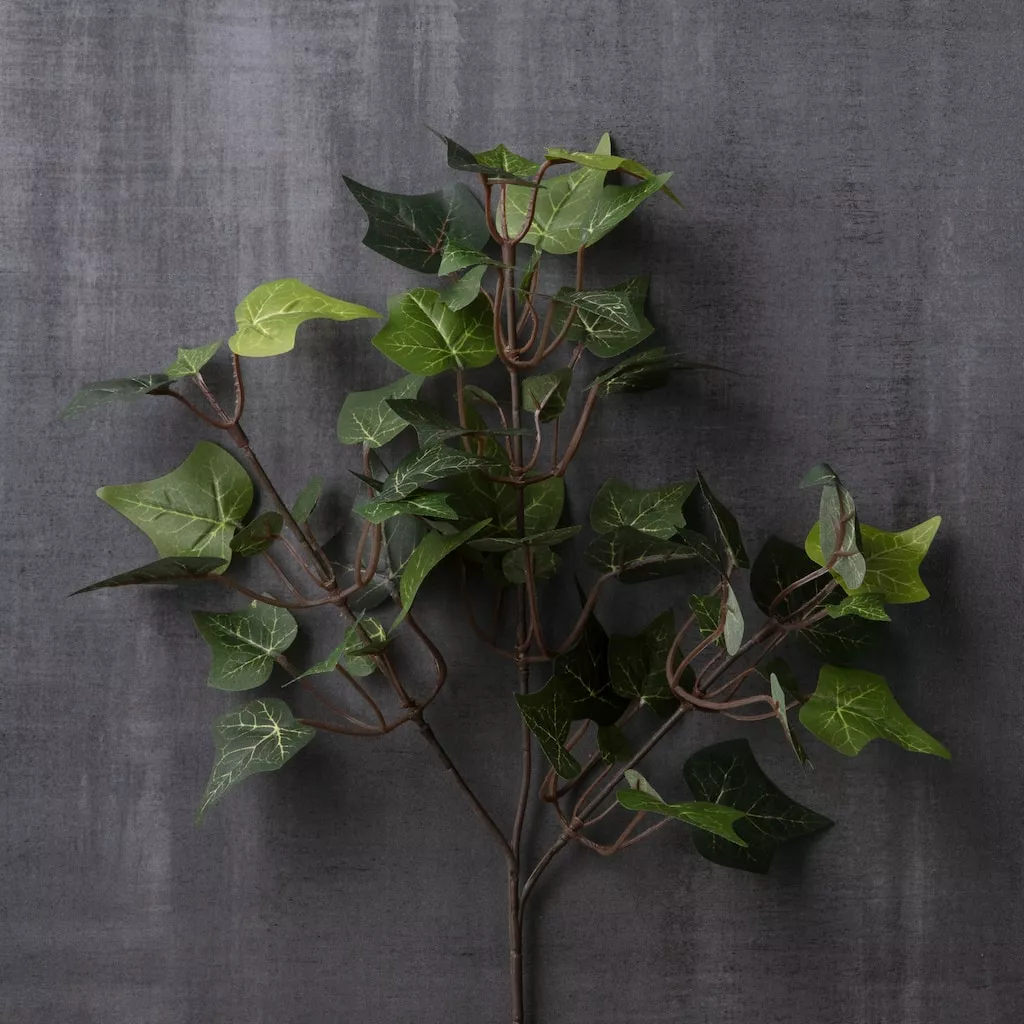 Cheap ???? 24 Pack: Floral Essentials English Ivy Spray by Ashland® ⭐ 4 Cheap ???? 24 Pack: Floral Essentials English Ivy Spray by Ashland® ⭐ - Image 2