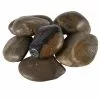 Cheapest ???? 10 Pack: Decorative River Rocks by Ashland® ????