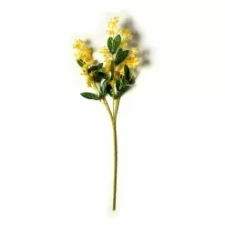 Flash Sale ✔️ 12 Pack: Gold Double Baby's Breath Stem by Ashland® ⭐ 9 Flash Sale ✔️ 12 Pack: Gold Double Baby's Breath Stem by Ashland® ⭐ -Ashland Sales MP240091 21