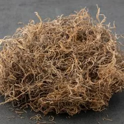 Best deal ???? 16 Pack: Natural Spanish Moss by Ashland® ✨ -Ashland Sales MP254250 21