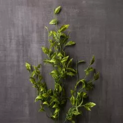 New ⌛ 12 Pack: Green Sinojackia Leaf Spray by Ashland® ???? -Ashland Sales MP263000 22