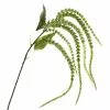 Brand new ???? 12 Pack: Green Amaranthus Stem by Ashland® ???? -Ashland Sales MP263015 1