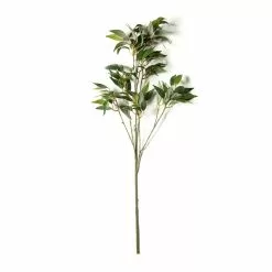 Best Sale ???? 12 Pack: Green Osmanthus Stem by Ashland® ???? -Ashland Sales MP263723 21
