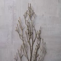 Discount ???? 12 Pack: Brown Twig Stem by Ashland® ???? -Ashland Sales MP263724 22