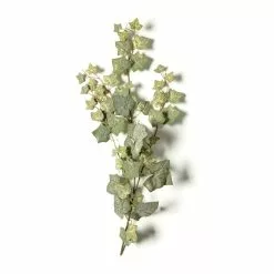 Cheap ???? 12 Pack: Green English Ivy Spray by Ashland® ???? -Ashland Sales MP265880 21