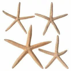 Best deal ???? 6 Packs: 4 ct. (24 total) White Glitter Starfish by Ashland® ????