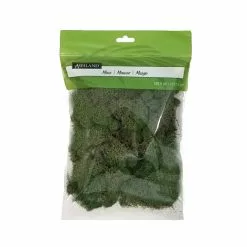 Wholesale ???? 12 Pack: Basil Green Reindeer Moss by Ashland® ????