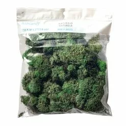 Wholesale ???? 12 Pack: Basil Green Reindeer Moss by Ashland® ???? -Ashland Sales MP284152 20