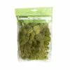 Cheap ???? 12 Pack: Spring Green Reindeer Moss by Ashland® ????