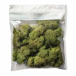 Cheap ???? 12 Pack: Spring Green Reindeer Moss by Ashland® ???? -Ashland Sales MP284153 20