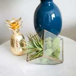 Cheap ???? 12 Pack: Spring Green Reindeer Moss by Ashland® ???? -Ashland Sales MP284153 4