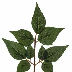 Coupon ❤️ 24 Pack: Green China Dollar Spray by Ashland® ???? -Ashland Sales MP292511 20