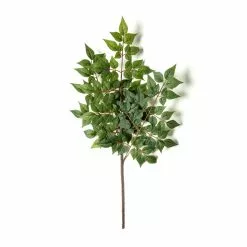 Coupon ❤️ 24 Pack: Green China Dollar Spray by Ashland® ???? -Ashland Sales MP292511 21