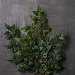 Coupon ❤️ 24 Pack: Green China Dollar Spray by Ashland® ???? -Ashland Sales MP292511 22