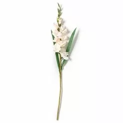 Cheap ???? 12 Pack: White Gladiolus Stem by Ashland® ???? -Ashland Sales MP297020 21