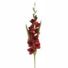 Promo ???? 12 Pack: Dark Red Gladiolus Stem by Ashland® ???? 1 Promo ???? 12 Pack: Dark Red Gladiolus Stem by Ashland® ???? -Ashland Sales MP297027 1