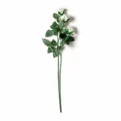 Coupon ???? 12 Pack: Ivory Sweetheart Rose Spray by Ashland® ???? -Ashland Sales MP297039 21