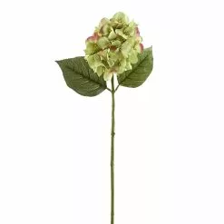 Promo ???? 12 Pack: Green Hydrangea Stem by Ashland® ????