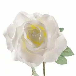 Best reviews of ???? 16 Pack: Ivory Princess Rose Stem by Ashland® ???? -Ashland Sales MP297096 20