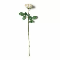Best reviews of ???? 12 Pack: White Princess Rose Stem by Ashland® ???? -Ashland Sales MP297097 21