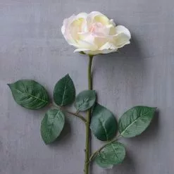 Best reviews of ???? 12 Pack: White Princess Rose Stem by Ashland® ???? -Ashland Sales MP297097 22