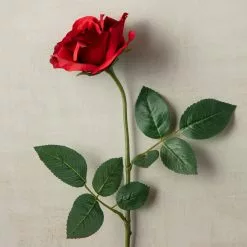 Best reviews of ✔️ 12 Pack: Dark Red Princess Rose by Ashland® ⭐ -Ashland Sales MP297101 25