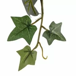 Outlet ???? 12 Pack: Assorted Mini English Ivy Bush by Ashland® ???? 16 Outlet ???? 12 Pack: Assorted Mini English Ivy Bush by Ashland® ???? -Ashland Sales MP308569 20