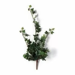Outlet ???? 12 Pack: Assorted Mini English Ivy Bush by Ashland® ???? 15 Outlet ???? 12 Pack: Assorted Mini English Ivy Bush by Ashland® ???? -Ashland Sales MP308569 21