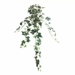 Outlet ???? 12 Pack: Assorted Mini English Ivy Bush by Ashland® ???? 13 Outlet ???? 12 Pack: Assorted Mini English Ivy Bush by Ashland® ???? -Ashland Sales MP308569 4
