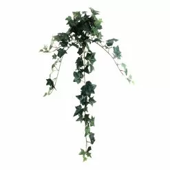 Outlet ???? 12 Pack: Assorted Mini English Ivy Bush by Ashland® ???? 14 Outlet ???? 12 Pack: Assorted Mini English Ivy Bush by Ashland® ???? -Ashland Sales MP308569 5