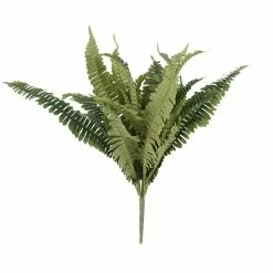 Hot Sale ???? 12 Pack: Boston Fern Bush by Ashland® ????